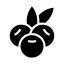Icon Açaí