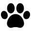 Icon Pata